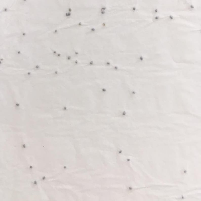 Carte graines à planter / Carte Double / Carte à semer / Papier ensemencé / Graines de fleurs / Cadeau mariage / Vive les mariés image 3