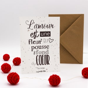 Carte graines à planter / Carte double / Carte à semer / Papier ensemencé / Graines de fleurs / Carte Saint Valentin / Amoureux