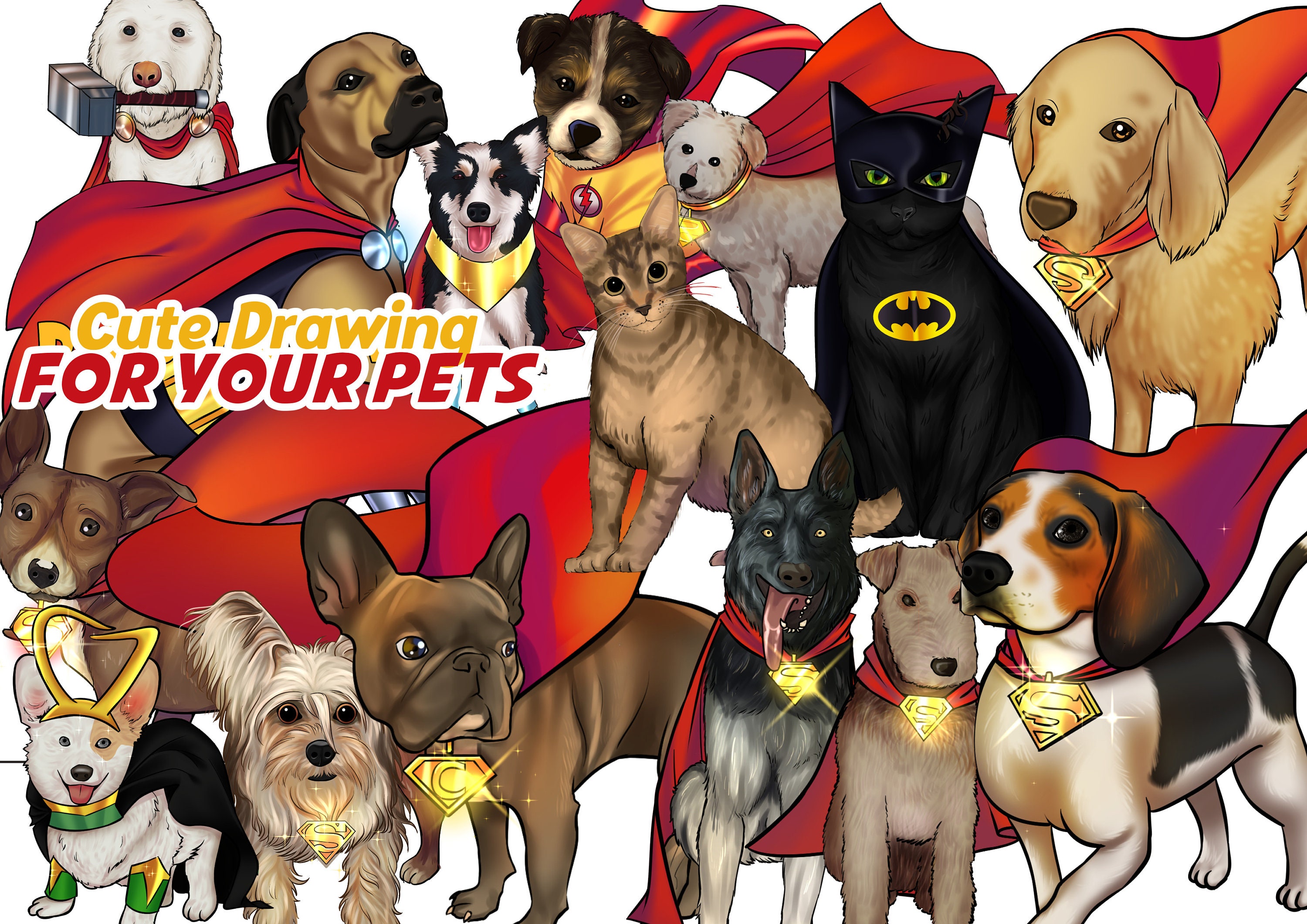 Buy Superhero Dog Tag Online In India India