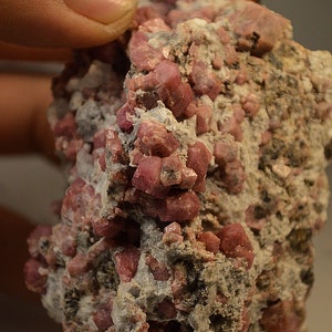 Grossular Garnet Crystals on Gangue Specimen Mineral Collection
