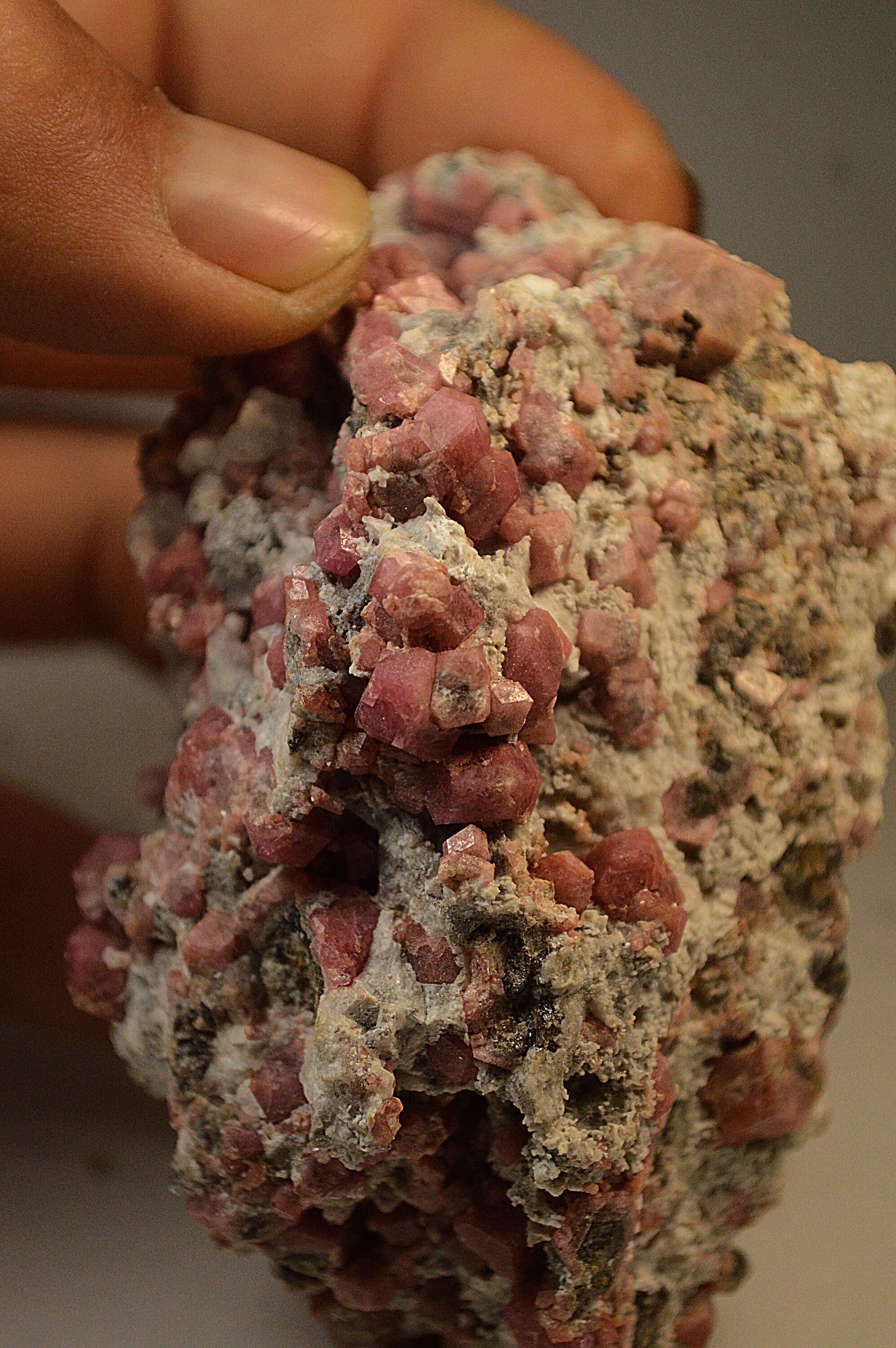 Cristaux de Grenat Grossulaire sur Gangue Specimen Mineral Collection