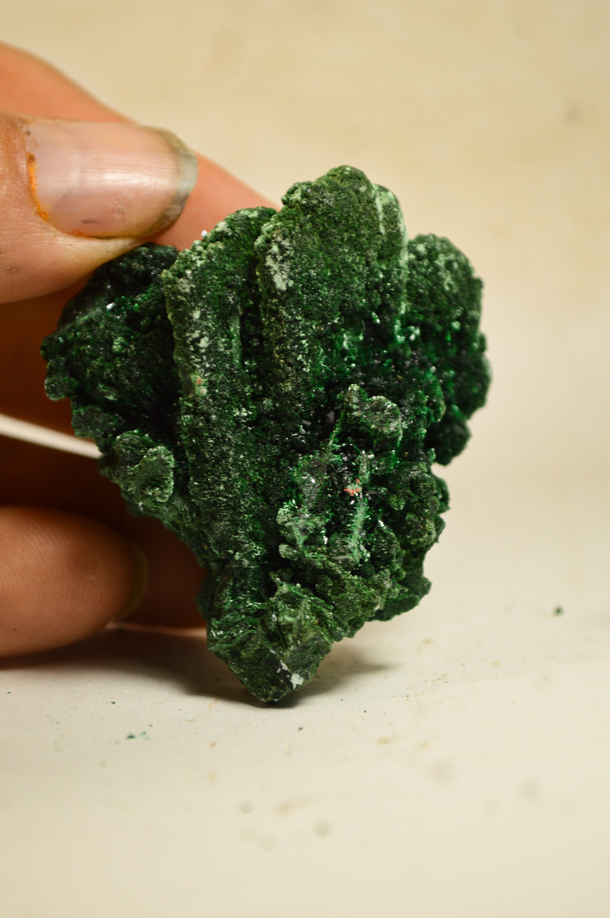 Malachite Primaire Du Congo 50x48mm Spécimen Minérale