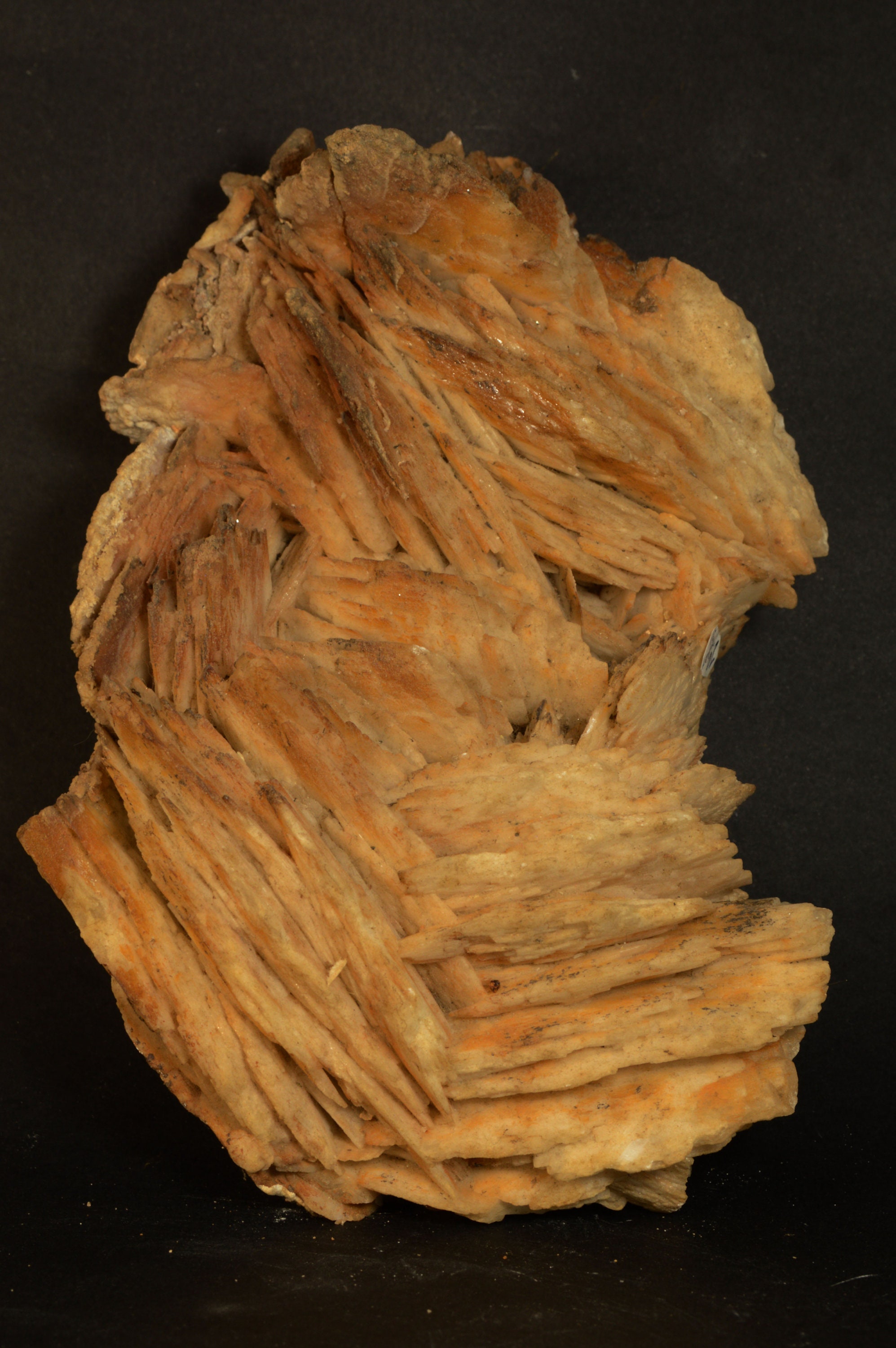 Barytine de Perret 34 Herault France 1880G