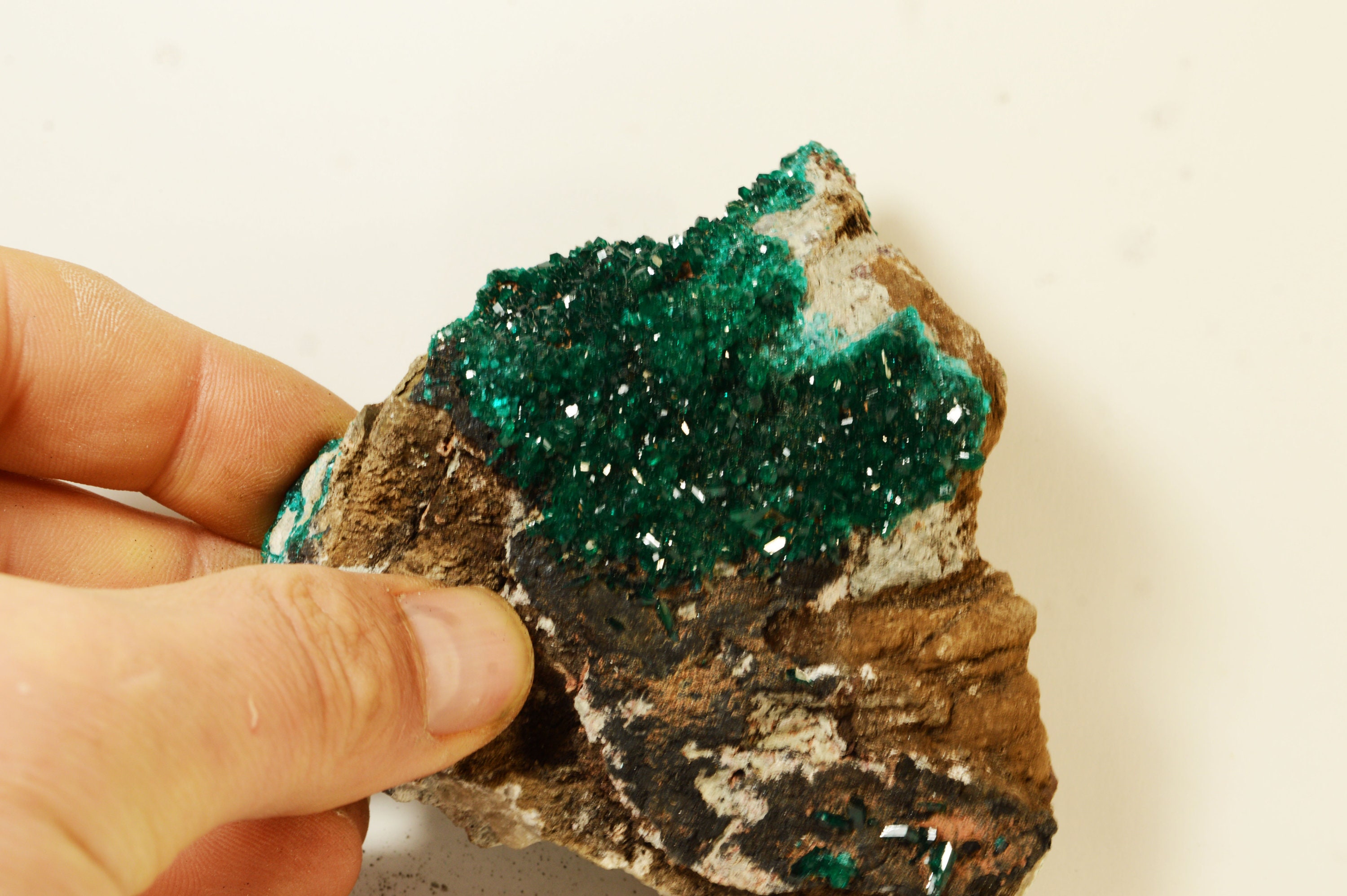 Amas de Dioptase sur Guangue Du Congo 319G Spécimen Minérale Collection