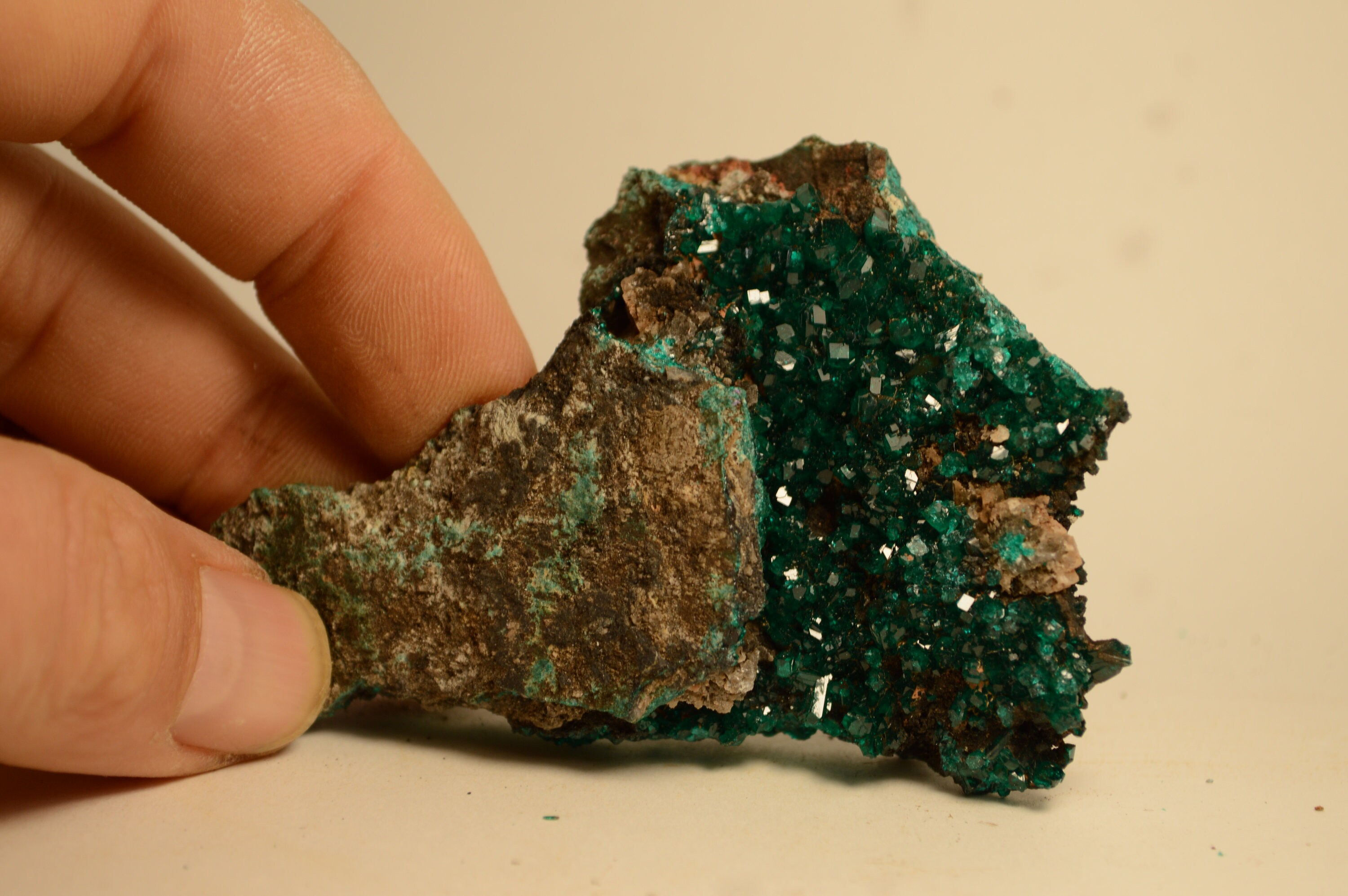 Amas de Dioptase sur Guangue Du Congo 80G Spécimen Minérale Collection