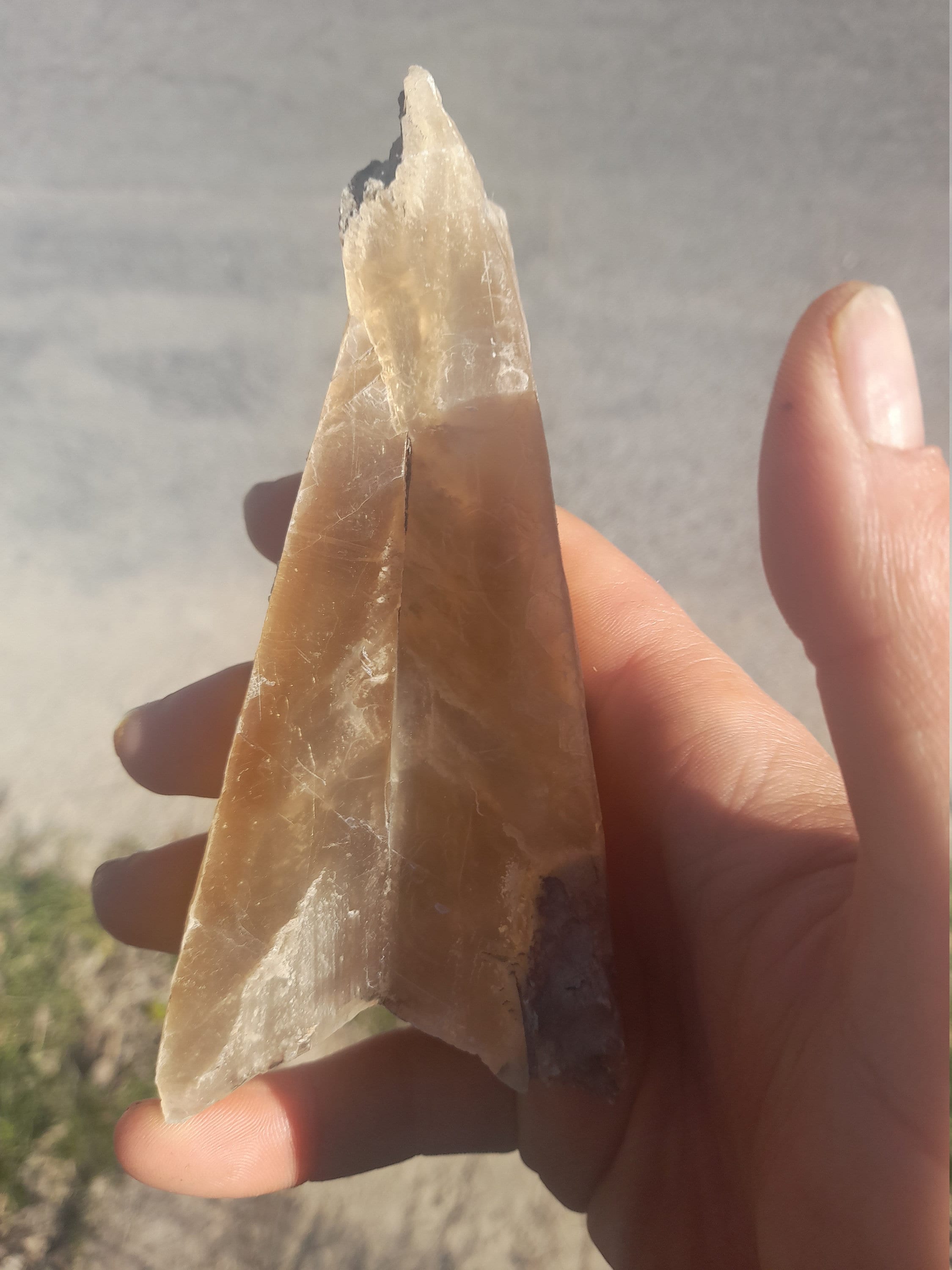 Gypse Fer de Lance Seine et Marne France 324G Specimene Mineraux Français