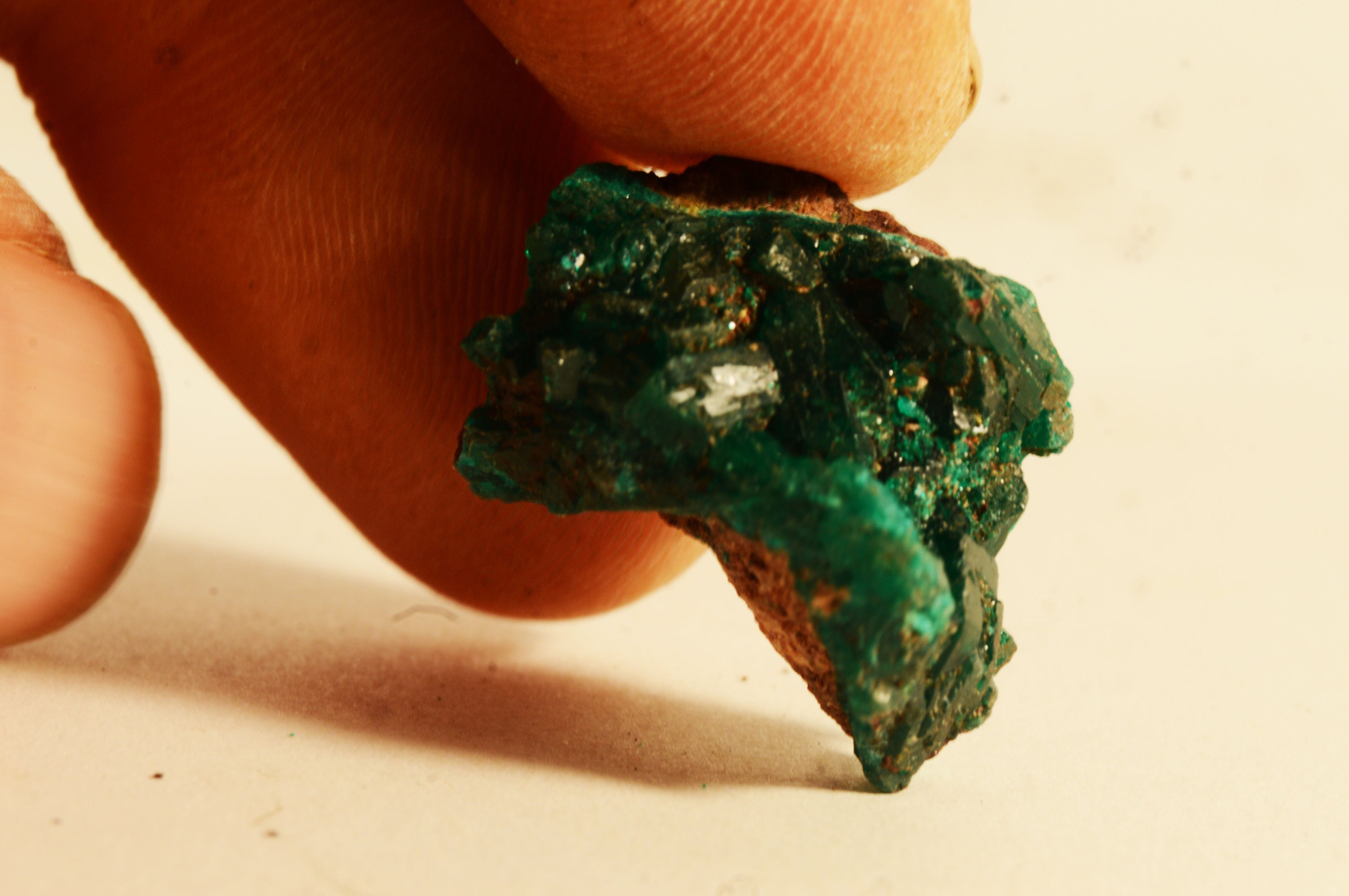 Cristalisation de Dioptase Du Congo 22x12mm Spécimen Minérale Collection