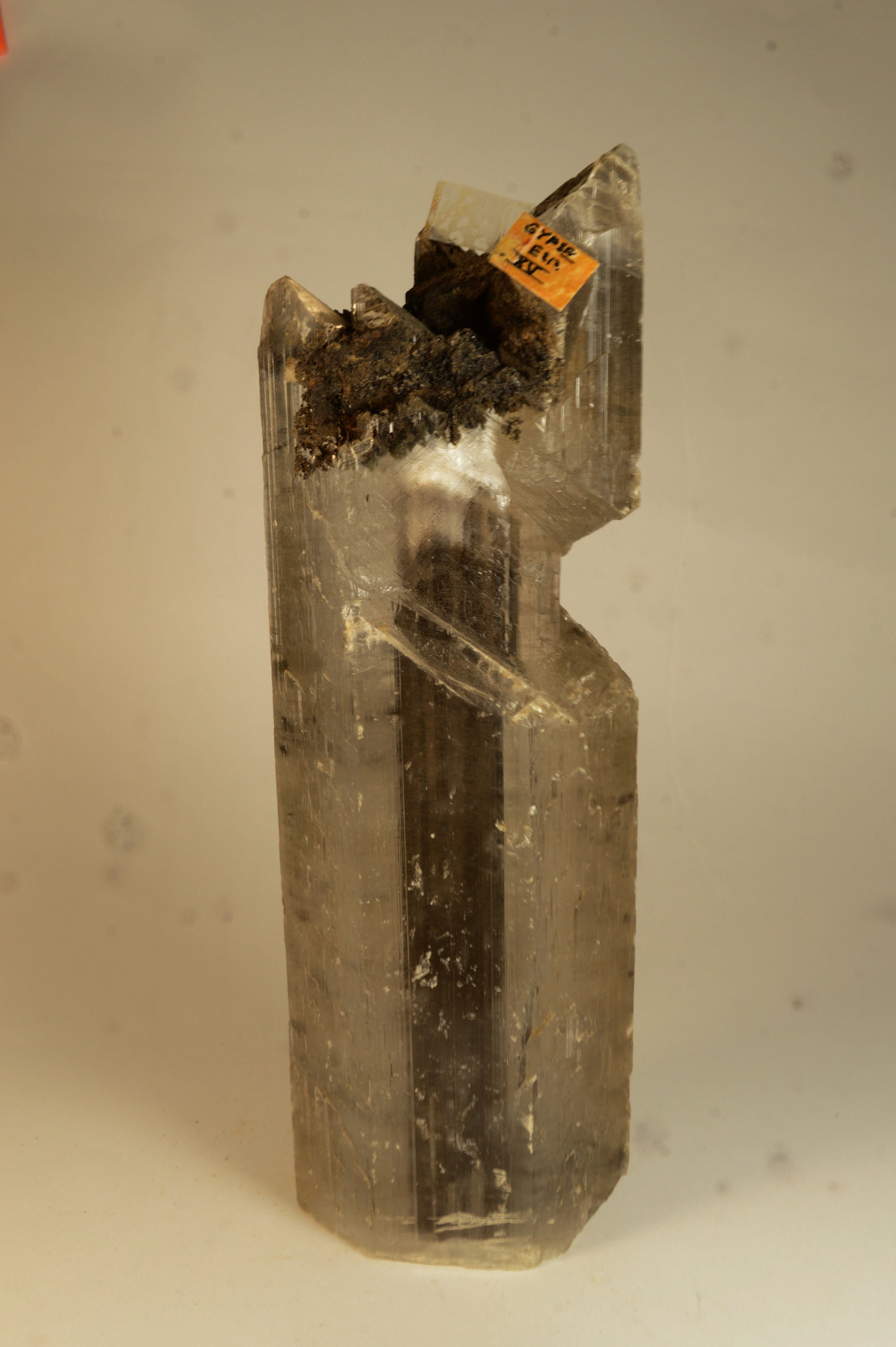 Cristal de Gypse avec Fantôme 671G La Unión Sierra Cartagena Espagne Gypsum