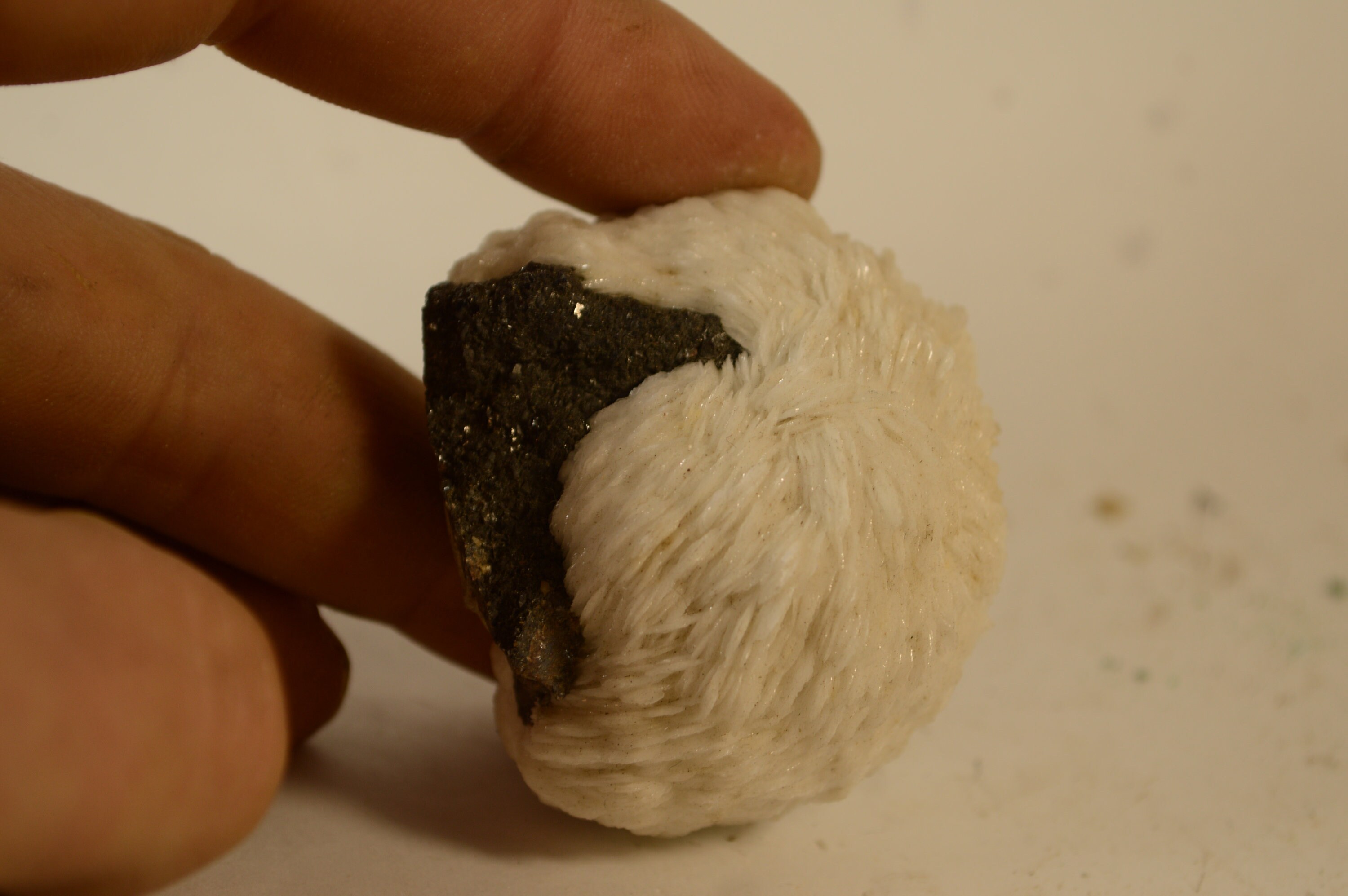 Barytine et Sphalérite Blende Malines Saint Laurent Minier France 116G Baryte