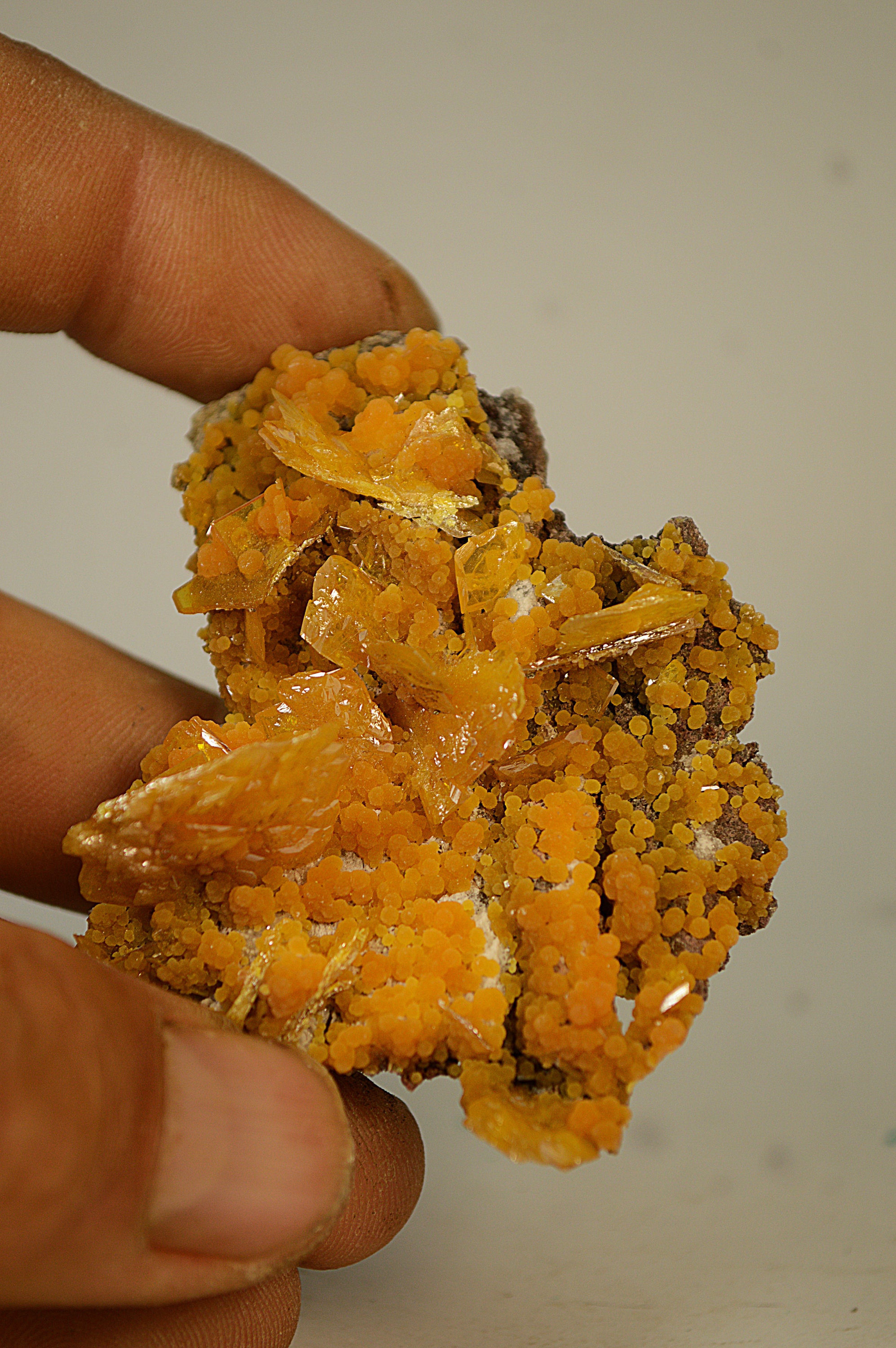Cristaux de Wulfenite et Mimétite Du Mexique 60x50mm Mineral Collection