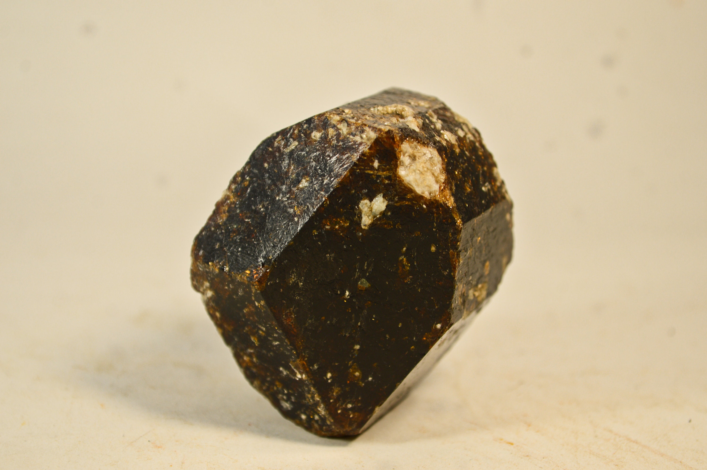 Cristal de Tourmaline Dravite Biterminé 150G Spécimen Cristal Entier