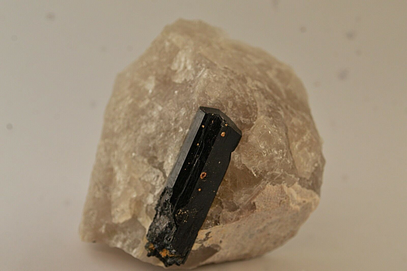 Tourmaline Noire Schorl sur Gangue de Quartz Terminé d'un Coté 512G