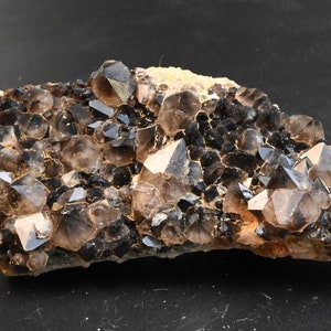 Smoky Quartz Cluster Echassieres France 176g collectible minerals