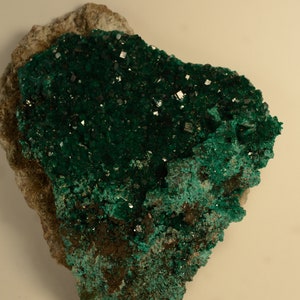 Congo Dioptase Cluster 461g collectible mineral specimen