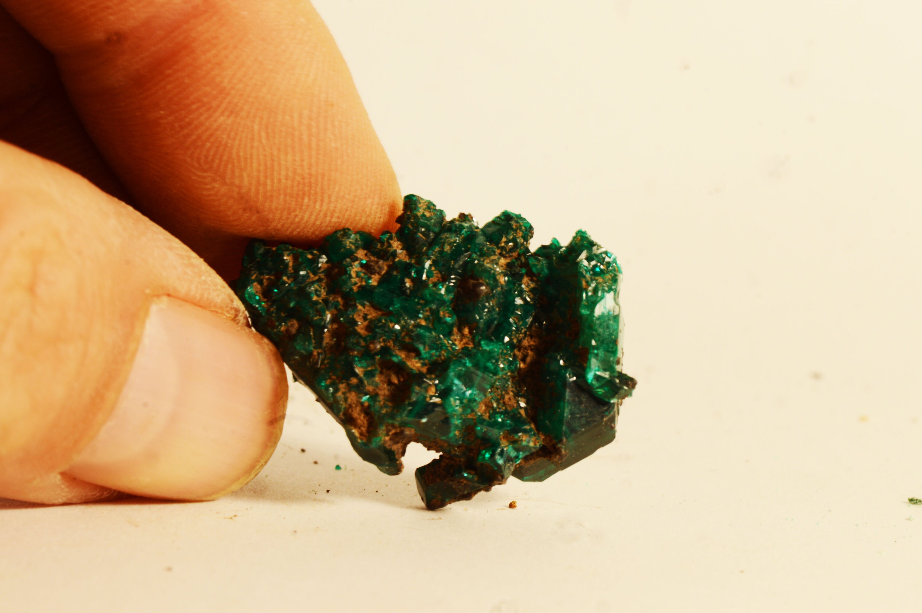 Cristalisation de Dioptase Du Congo 30x21mm Spécimen Minérale Collection