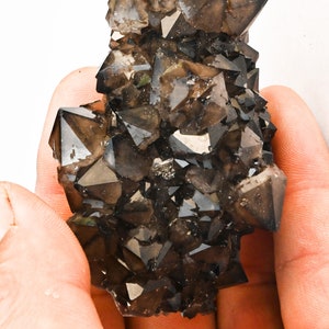 Smoky Quartz Cluster Echassieres in France minerals collection 121g
