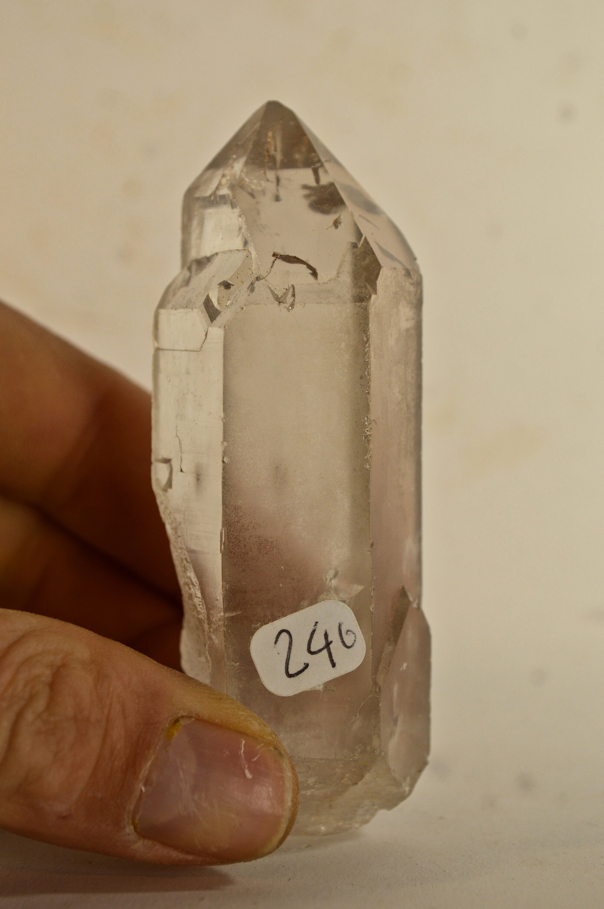 Pointe de Quartz Cristal Roche 139G Specimen Minérale Collection