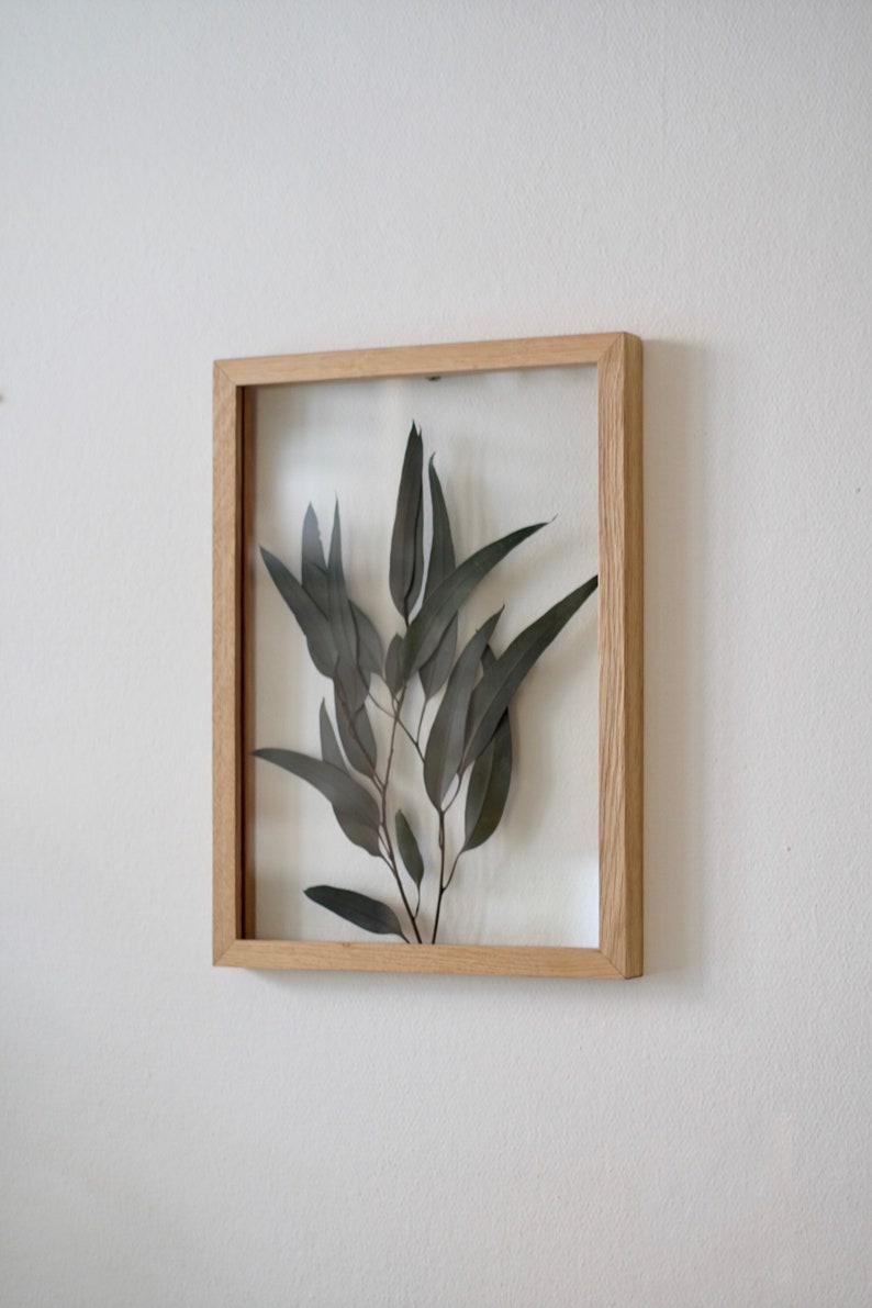 Pressed Eucalyptus Leaves Modern Botanical Art by MyBotanica | Etsy
