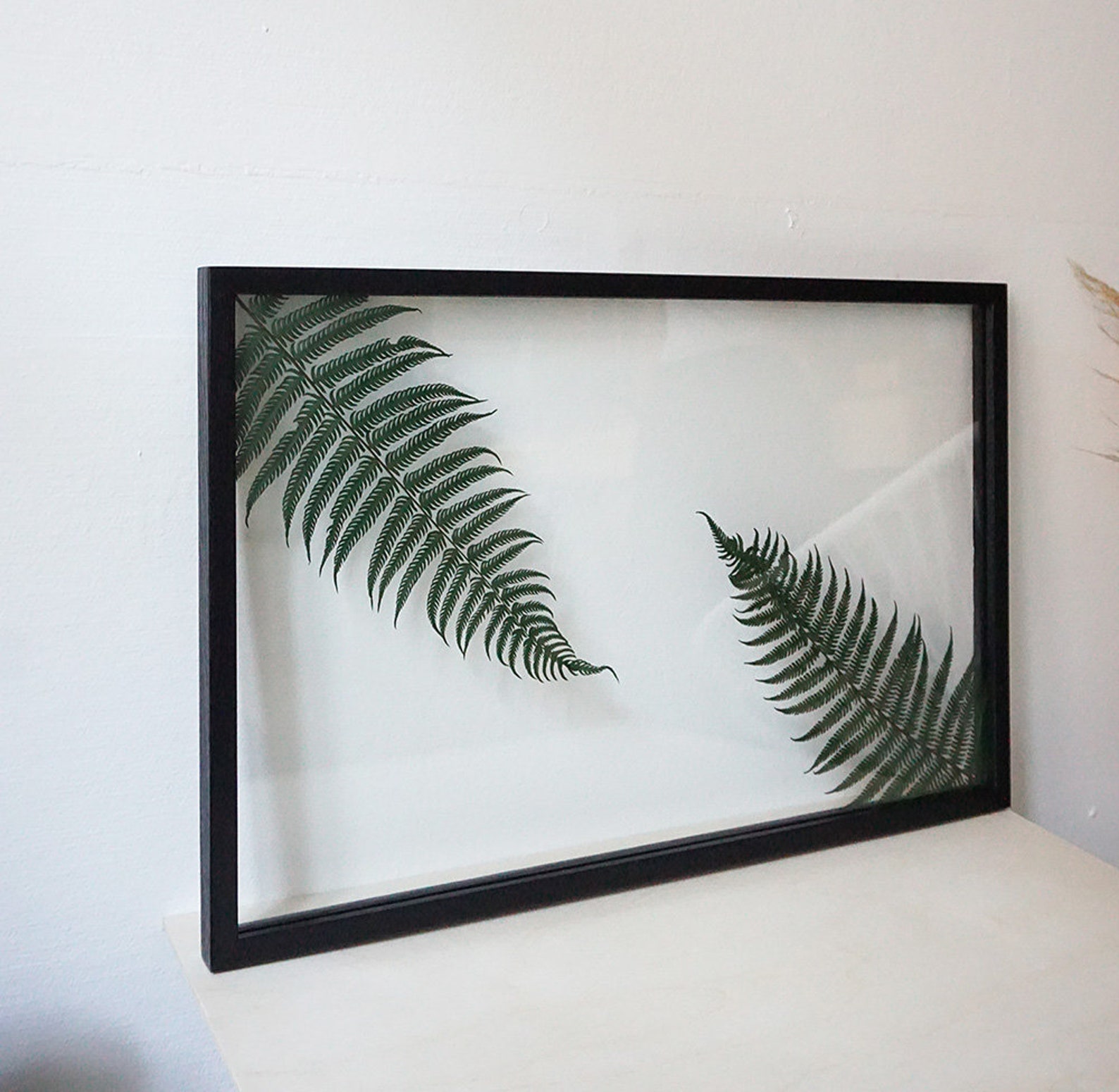Großer gerahmter Gepresster FarnBlatt Kunst Pflanzenliebhaber | Etsy