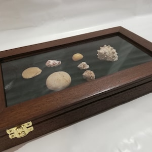 Casket in wood and velvet Display for collectibles customizable jewelry box