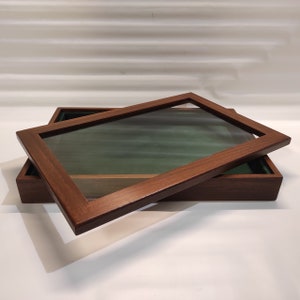 Refined wooden and glass case for generic collections also for fossils and shells