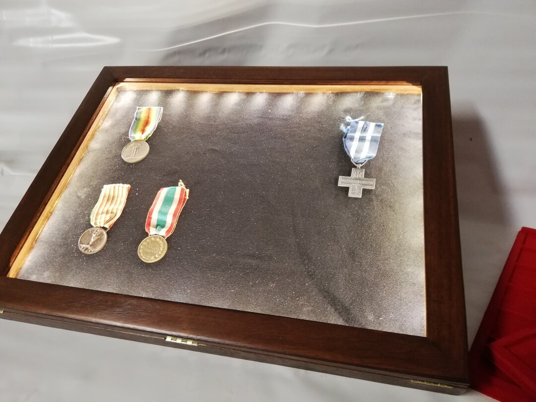 Showcase With LED Light, in Real Wood for Collectors, Display for Coins ...