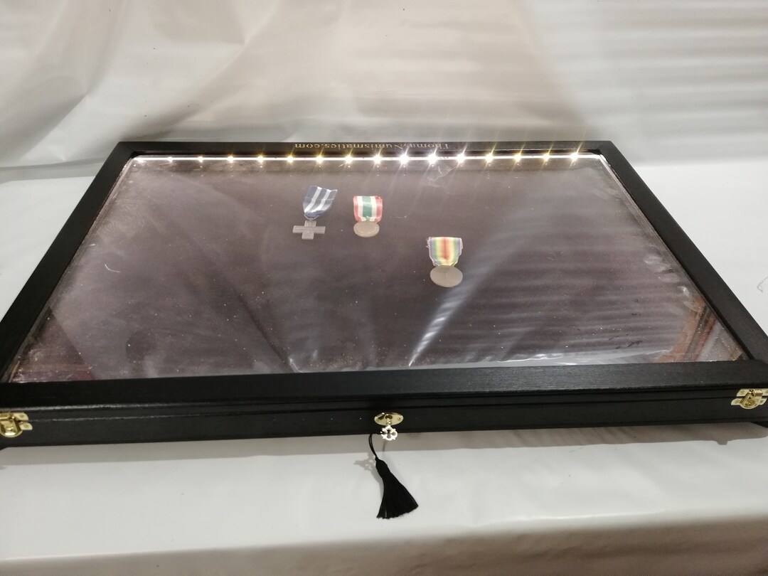 Showcase With LED Light, in Real Wood for Collectors, Display for Coins ...