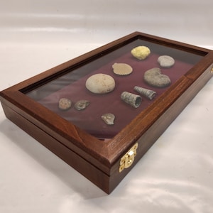 Cofanetto espositore in legno e vetro per conchiglie fossili coltelli o altro