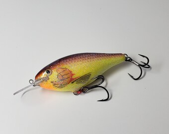 Custom Painted COFFIN BIll Brown Mustard belly
