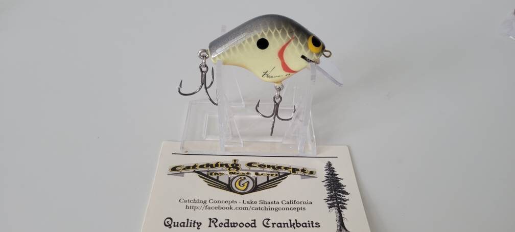 キャッチングコンセプト　CCS1 Catching Concepts CCS1 in Pearl Shad - Etsy Canada