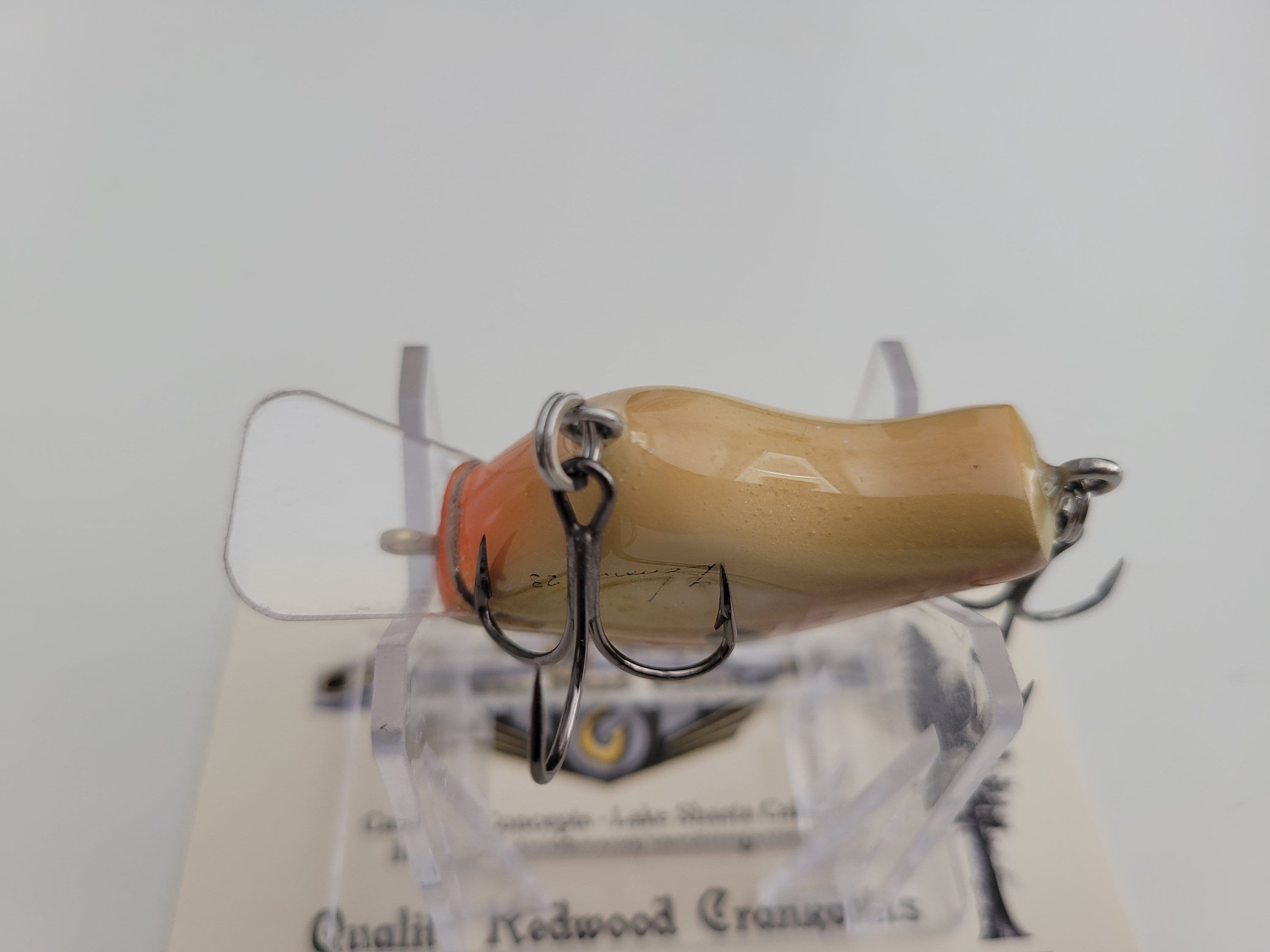 キャッチングコンセプト　CCS1 キャッチングコンセプトCCS1