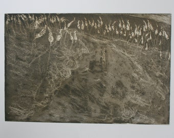 Flowering of Drimia, original aquatint etching