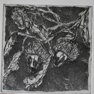 Acorns,original aquatint etching