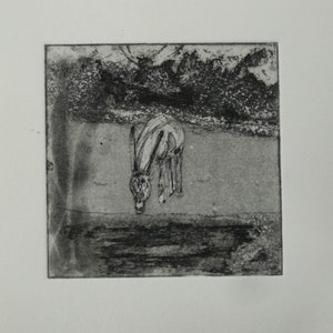 Berlin Zoo, oryx. original etching,