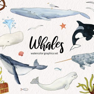 Watercolor Whales Clipart - PNG Instant Download - Ocean - Sea Life - Narwhal - Orca - Blue Whale - Humpback - Beluga - Nautical