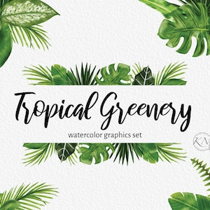Tropical Leaves Watercolor Clipart - PNG Instant Download - Greenery - Jungle - Botanical - Watercolor Graphics - Clip Art