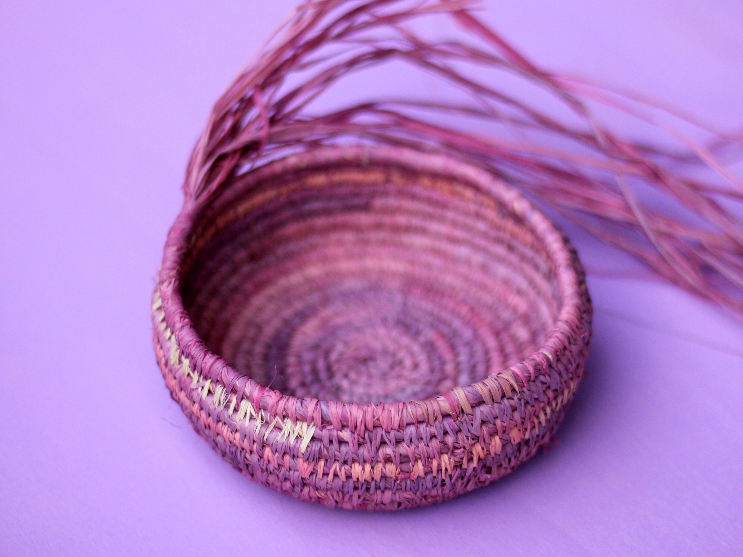 Coil Basket Kit lilac DIY Basket Weaving Kit Raffia Etsy