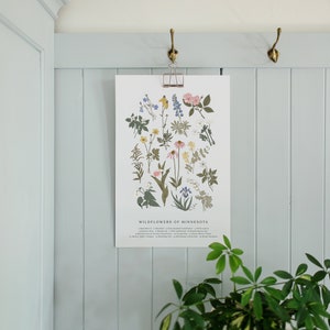 Wildflowers of Minnesota, Vintage Flower Print, Minnesota Art, Fields and Forests, Lady's Slipper, Rose, Lupine, Buttercup