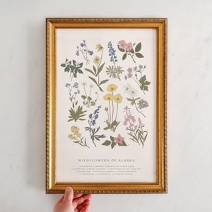 Wildblumen von Alaska, Vintage Blumendruck, Alaska Kunst, Vintage Wissenschaft Poster Stil, Weidenröschen, AK Mohn, Vergissmeinnicht