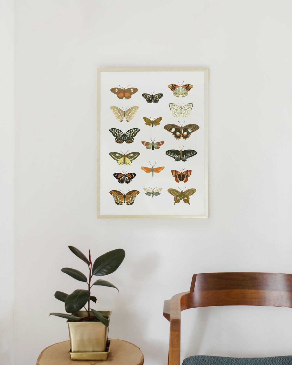 Butterfly Poster Colorful Butterflies Art Butterfly Science | Etsy