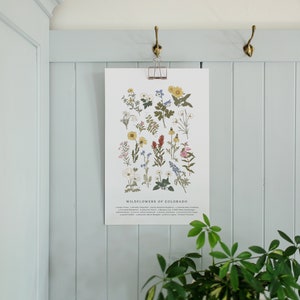 DIGITAL FILE | Wildflowers of Colorado, Vintage Flower Print, Vintage Floral Print, Roadside Flowers, Colorado Flowers, Colorado Columbine