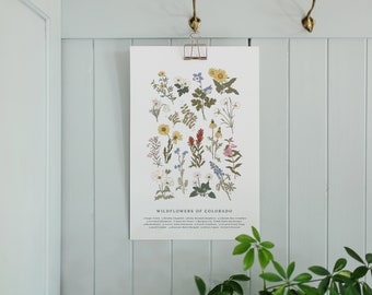 DIGITAL FILE | Wildflowers of Colorado, Vintage Flower Print, Vintage Floral Print, Roadside Flowers, Colorado Flowers, Colorado Columbine