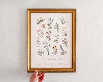 Wilde bloemen van Texas, vintage bloemenprint, vintage bloemenprint, bloemen langs de weg, bloemen zuidelijke staten, Texas Bluebonnet