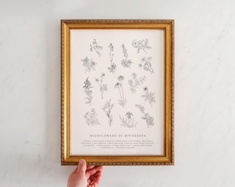 BW, Wildflowers of Minnesota, Vintage Flower Print, Minnesota Art, Fields and Forests, Lady's Slipper, Rose, Lupine, Buttercup
