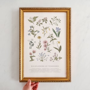 Tennessee Wildblumen, Wildblumen von Tennessee, Vintage Blumendruck, Blue Mountain Wildblumen, Smoky Mountain Wildblumen