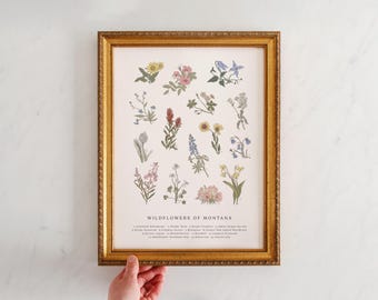 Wildflowers of Montana, Vintage Flower Print, Montana Wildflowers, Mountain Wildflowers, Bitterroot, Fireweed, Beargrass, Lupine