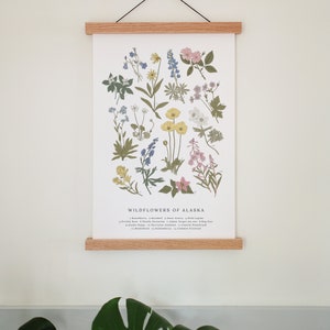 Wildflowers of Alaska, Vintage Flower Print, Alaskan Art, Vintage Science Poster Style, Fireweed, AK Poppy, Forget Me Not, 11 by 17 image 6