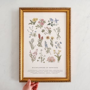 Wildflowers of Montana, Vintage Flower Print, Montana Wildflowers, Mountain Wildflowers, Bitterroot, Fireweed, Beargrass, Lupine, 11" by 17"