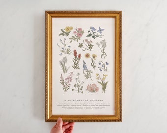 Wildflowers of Montana, Vintage Flower Print, Montana Wildflowers, Mountain Wildflowers, Bitterroot, Fireweed, Beargrass, Lupine, 11" by 17"