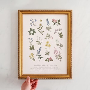 Wildflowers of Alaska, Vintage Flower Print, Alaskan Art, Vintage Science Poster Style, Fireweed, AK Poppy, Forget Me Not